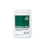 Echinacea Root