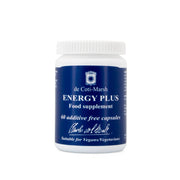 Energy Plus