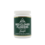 Red Clover Flowers
